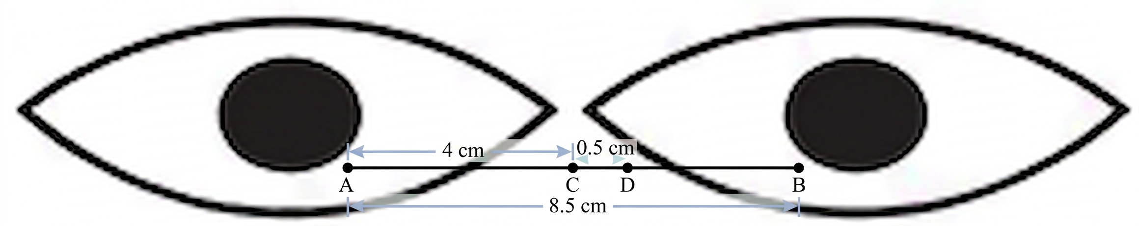 Diagram 5
