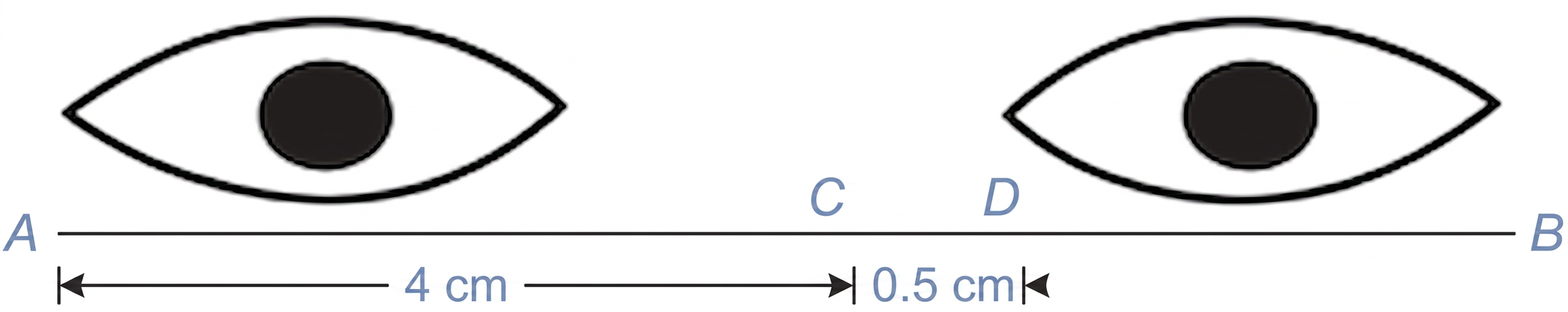 Diagram 6