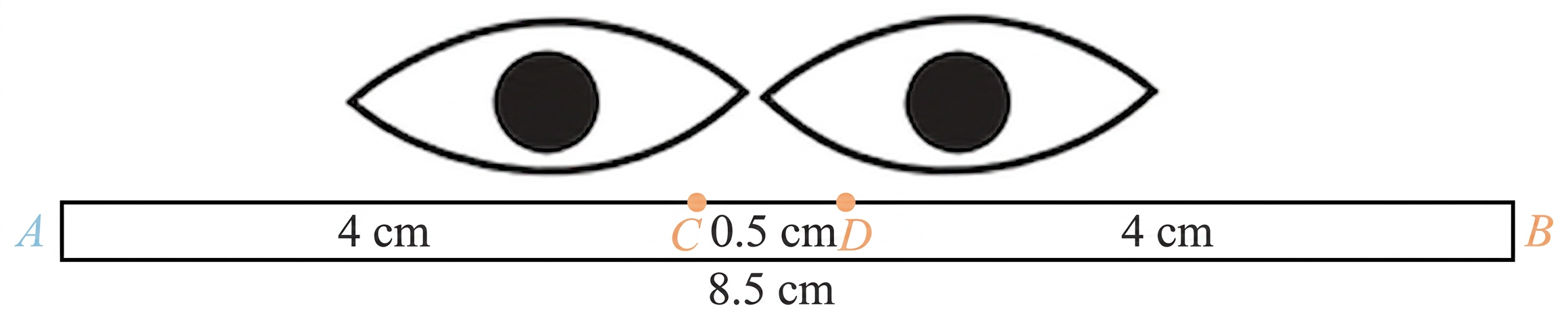 Diagram 7