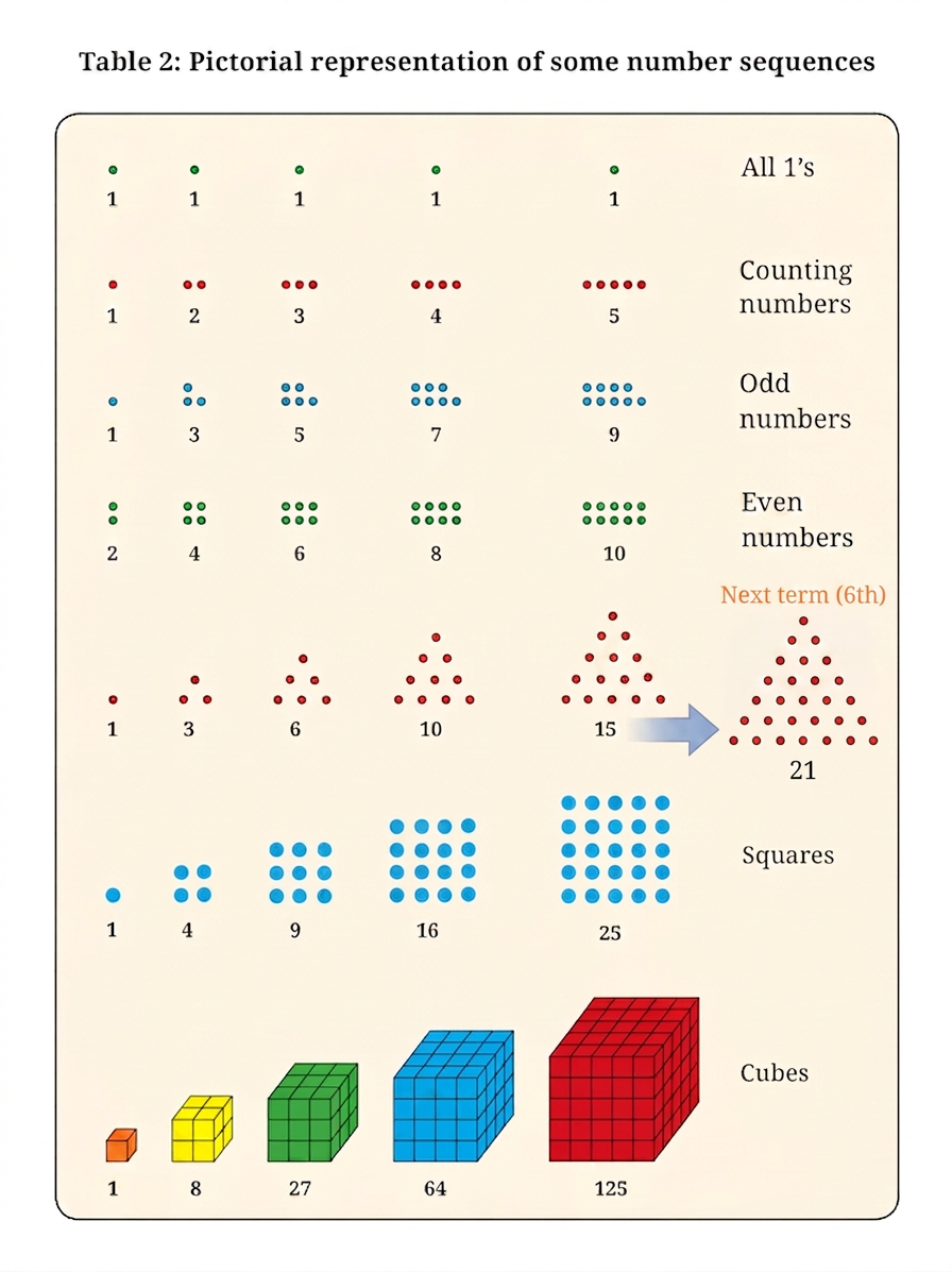 Diagram 5