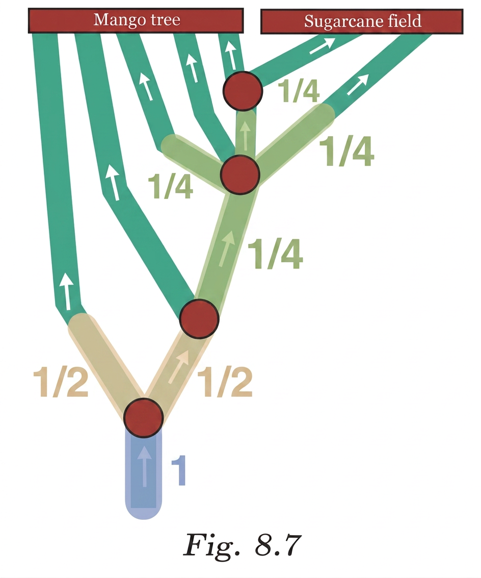 Diagram 5