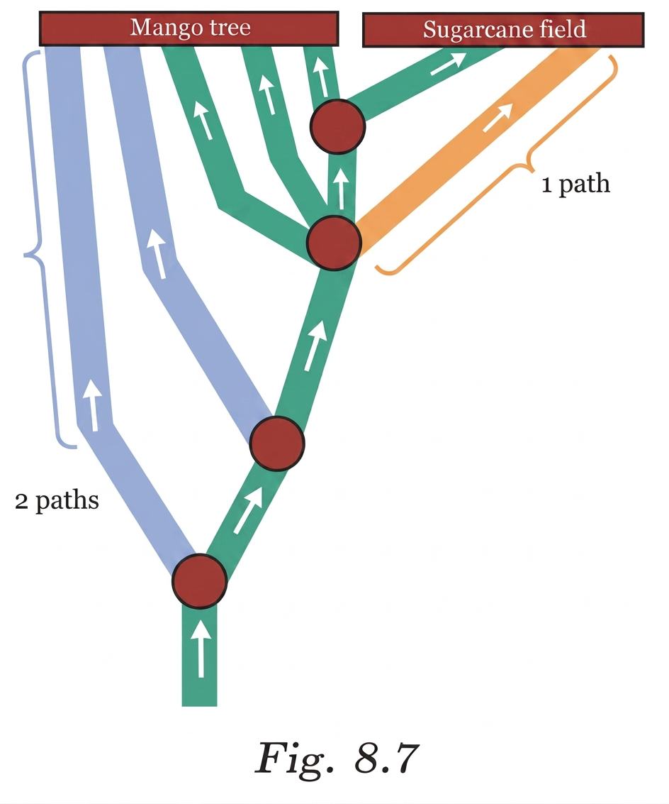 Diagram 6