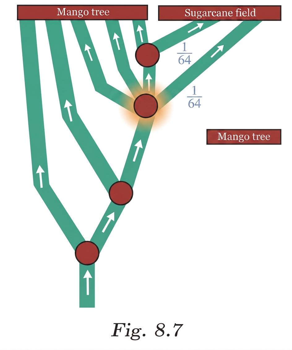 Diagram 7