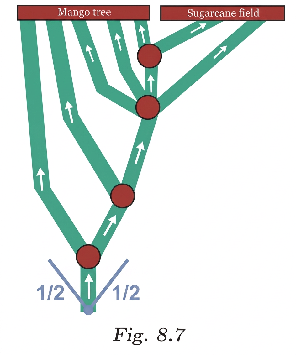 Diagram 8