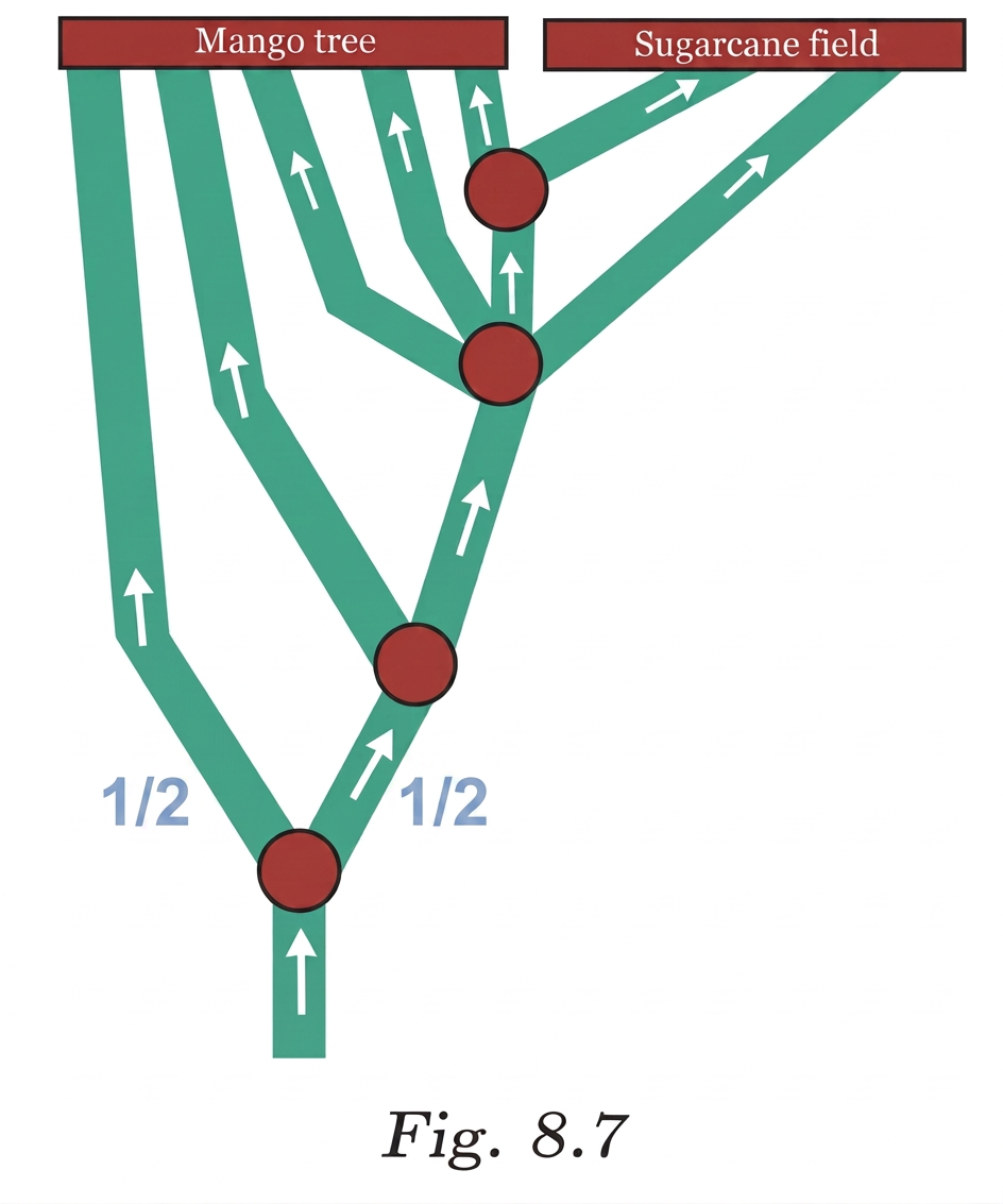 Diagram 9